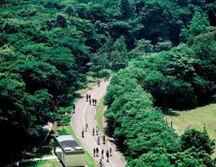 Imagens de Praças e parques