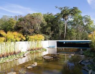 Imagens de Jardins externos