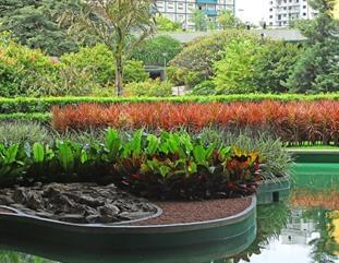 Imagens de Jardins externos