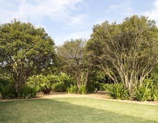 Imagens de Jardins externos