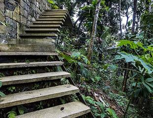 Imagens de Escadas externas e rampas