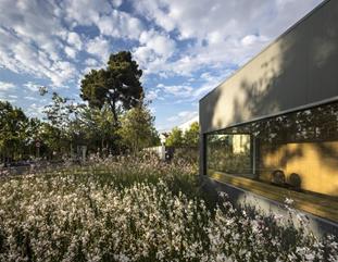 Imagens de Jardins externos