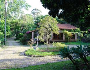 Imagens de Jardins externos