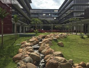 Imagens de Jardins externos