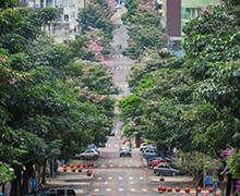 Urbanização da Avenida Brasil