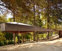 Snake Tree Houses