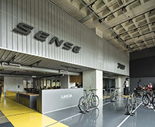 Showroom Sense Bike