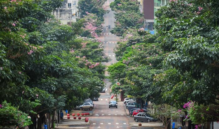 Urbanização da Avenida Brasil