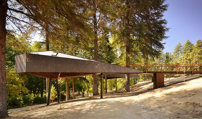 Snake Tree Houses