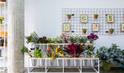 Trifolium Flowershop