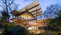 The Jungle Frame House